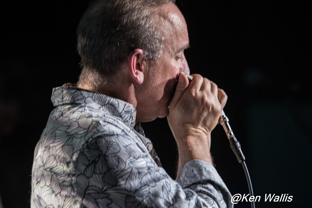 Roly Platt Harmonica